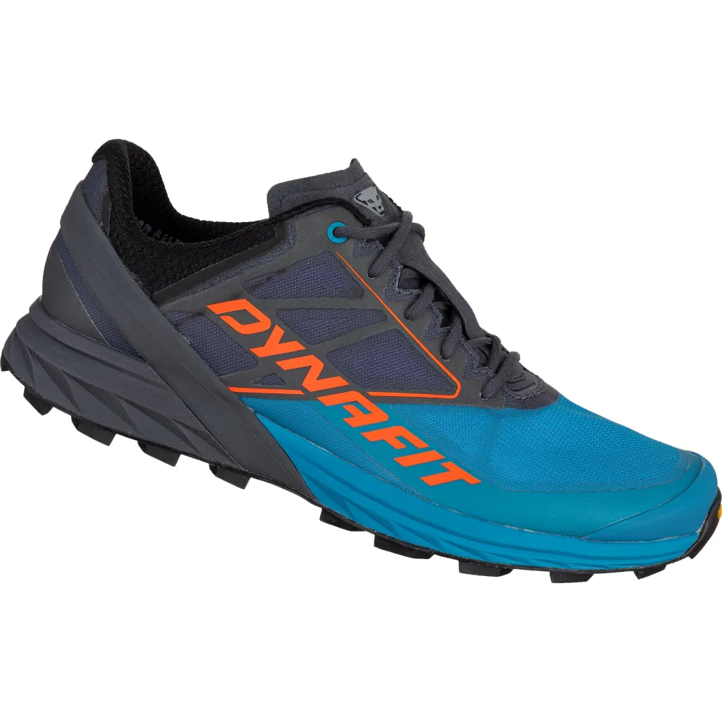 Men's Alpine