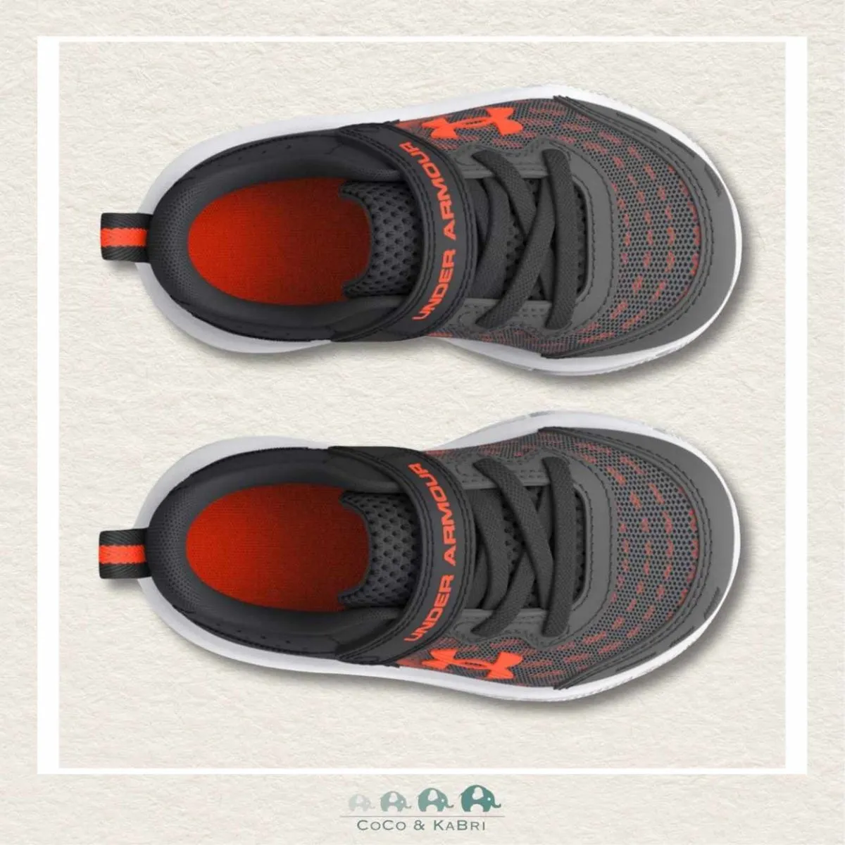 Under Armour: BINF Assert 10 AC Running Shoes - Dark Grey (V1-68)
